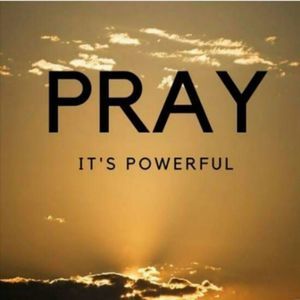 Meet your Posher, Love